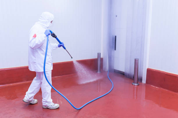 East Setauket, NY Pressure Washing Company